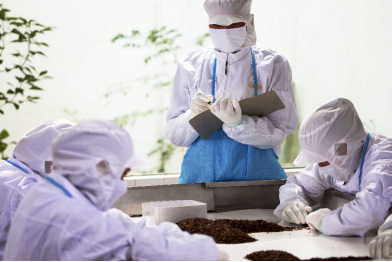 “正和岛”问道“小罐茶”:如何建设新中国茶品牌