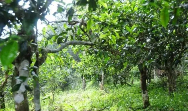 1546930490856768.png image.png