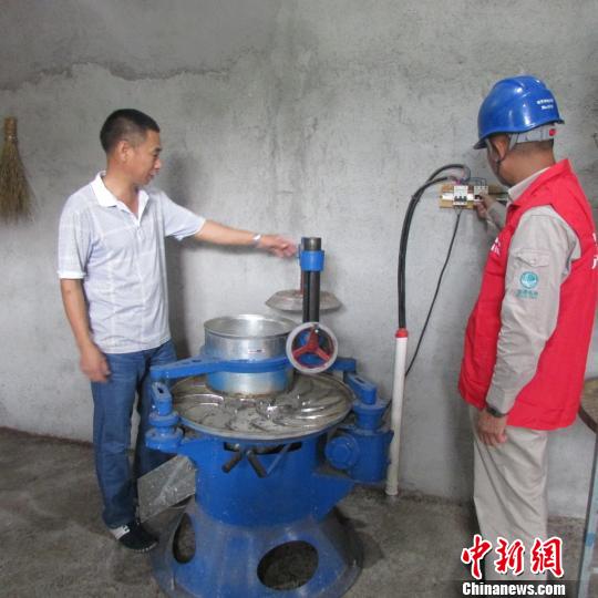 用电烤茶300年高山斜背茶远销海外